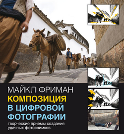 Композиция в цифровой фотографии. Творческие приемы создания удачных фотоснимков Фриман Майкл