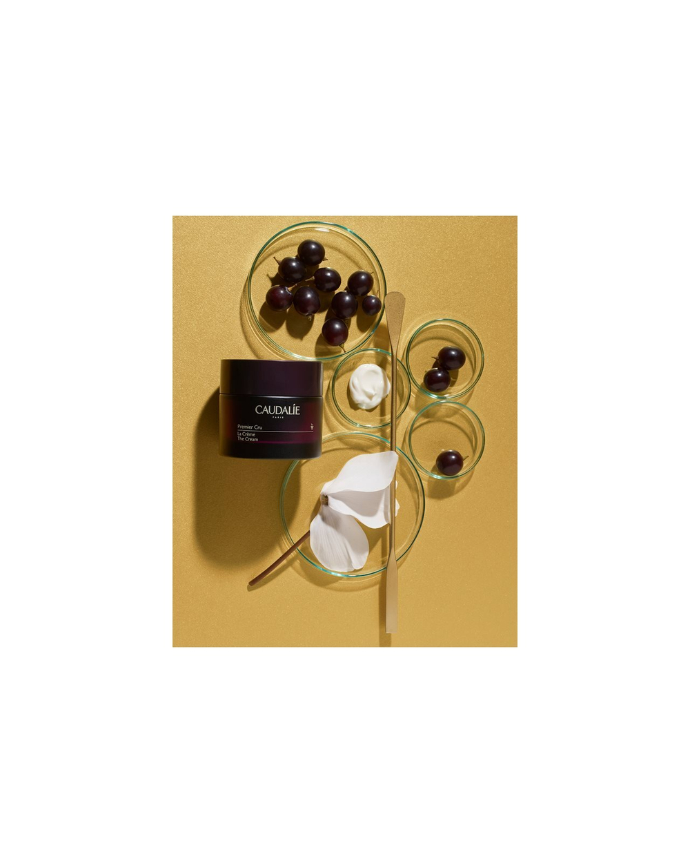 Caudalie Premier Cru La Creme - антивозрастной увлажняющий крем для лица /   50  ml  / GTIN 3522930003557