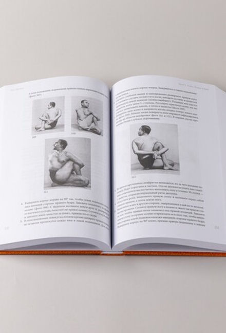 Йога Дипика. Прояснение йоги