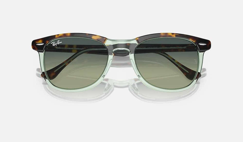 RAY-BAN EAGLE EYE RB2398 1376BH