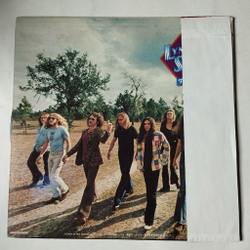 Винтажная виниловая пластинка LP Lynyrd Skynyrd Nuthin Fancy (Japan 1975) (Obi Copy)