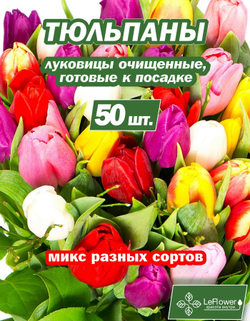 Тюльпан Луковица, Микс сортов, 50шт