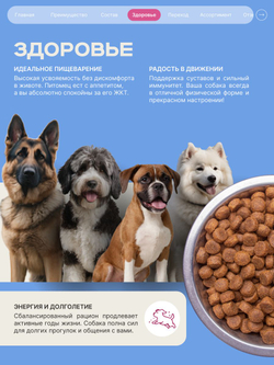 Корм сухой для взрослых собак породы Самоед, премиум полнорационный комплекс, с говядиной, 2,5 кг, QUATTRO