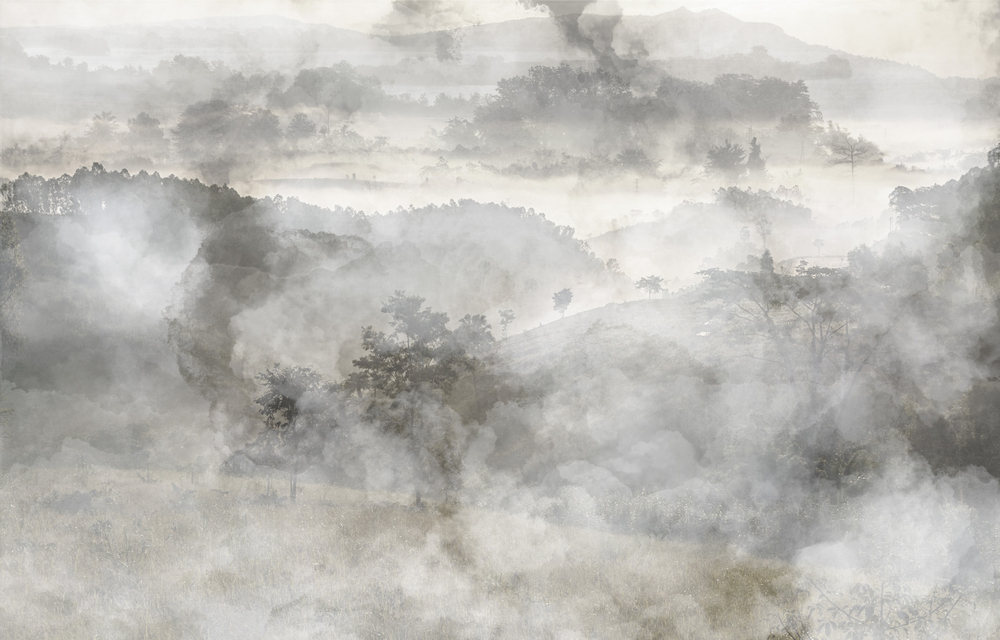 Коллекция EUPHORIA 19