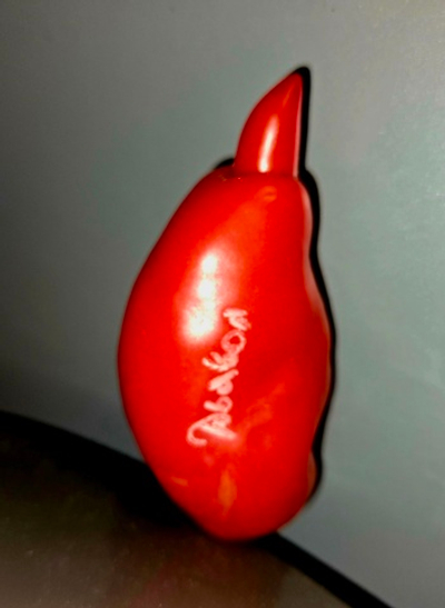 ДЬЯВОЛ ДЖЕРСИ