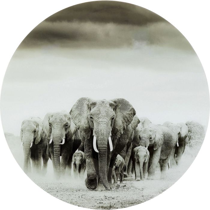 Картина KARE Elephants 54576