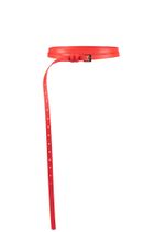 TОНКИЙ РЕМЕНЬ RED