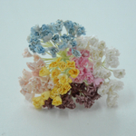 Гипсофила 1см