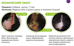 Регинокс скин гель для заживления ран, 20 гр