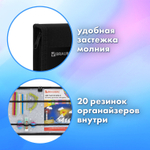 Папка на молнии BRAUBERG А4 с ручкой с органайзером 1 отделение "Savage lion" (2 штуки в упаковке)