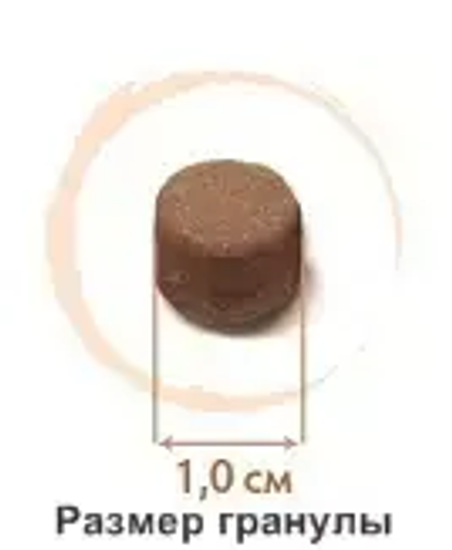 Grandorf Сухой корм для собак средних и крупных пород Индейка