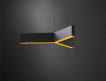 BUCKY by christopher boots