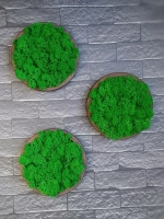 Панно из мха набор 3 шт.