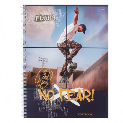 Тетрадь А5 96л. клетка "Клевый скейтер-1" (96-2743) (Проф-Пресс)