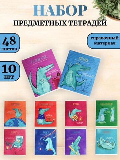 Комплект (10 шт.) предметных тетрадей 48л. ArtSpace "Новый взгляд"