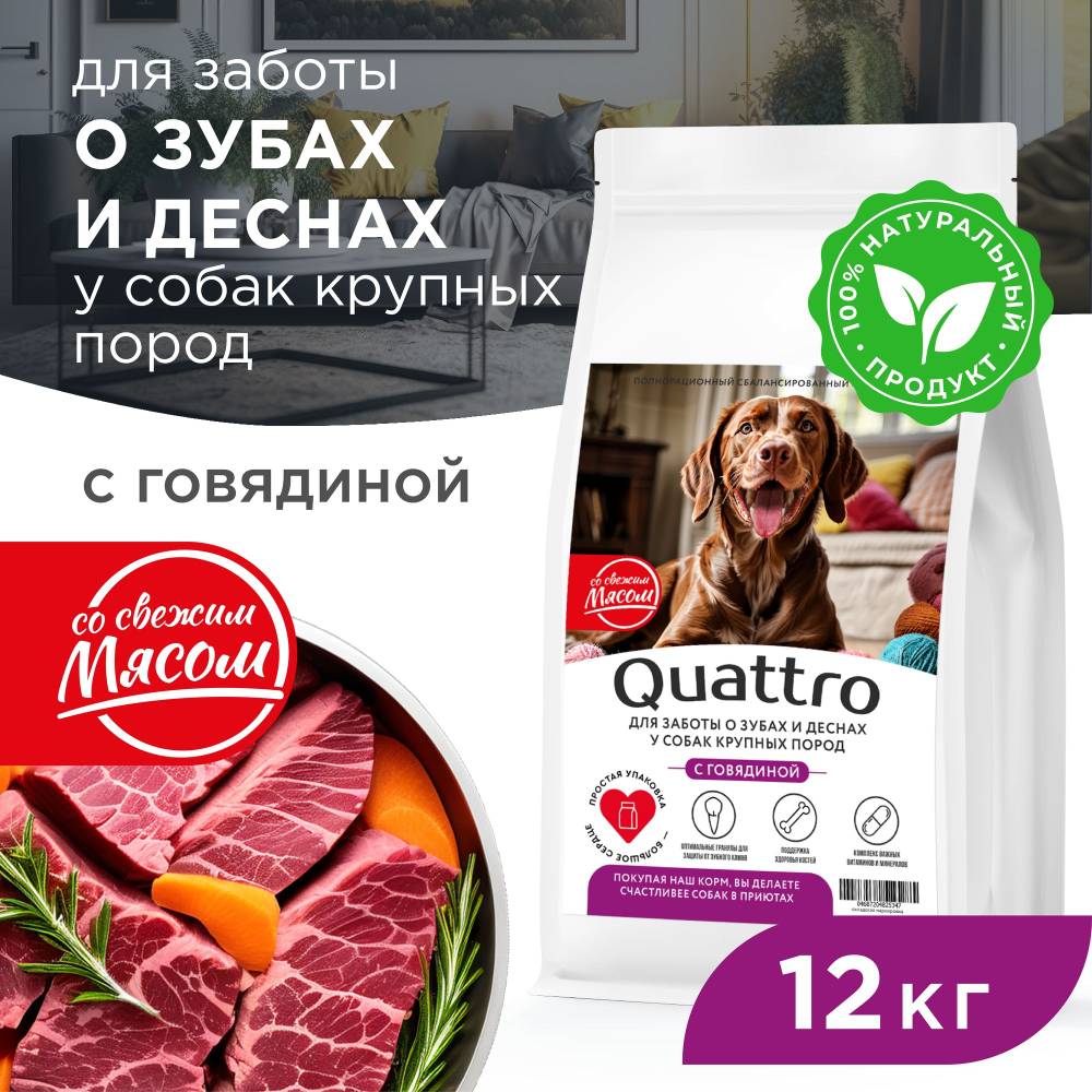 Корм сухой для взрослых собак крупных пород, премиум полнорационный комплекс, для заботы зубов и десен, с говядиной, 12 кг, QUATTRO