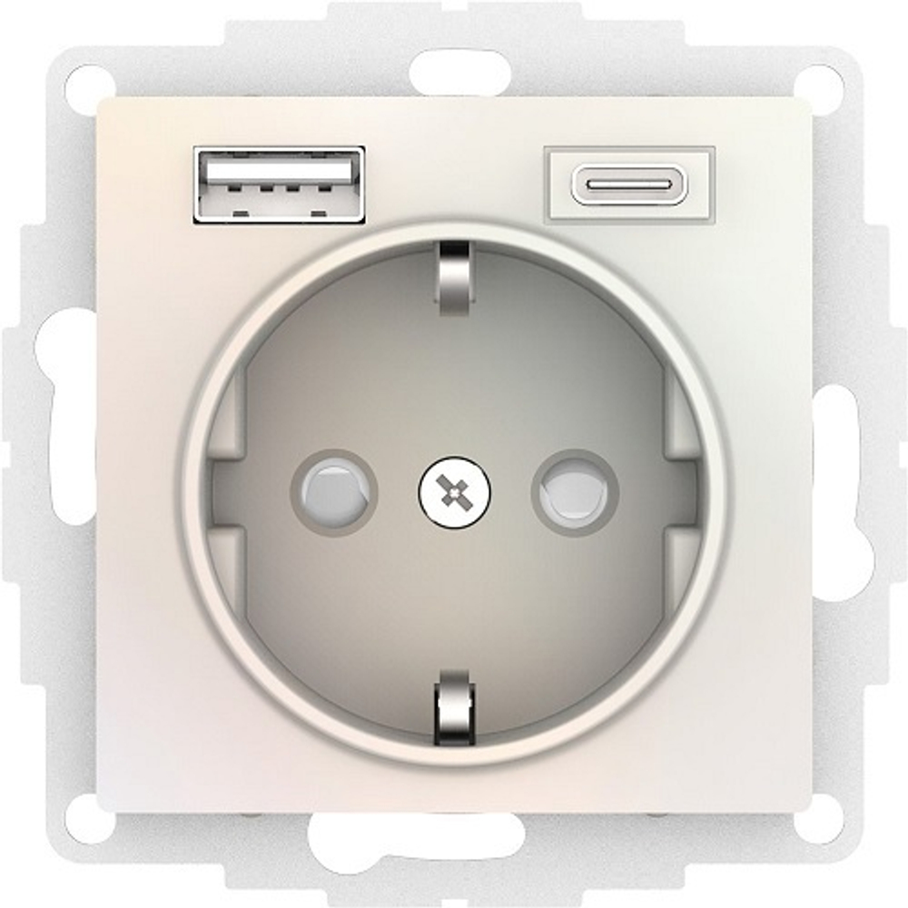 Розетка с заземлением с 2 USB  Systeme Electric ATN000432
