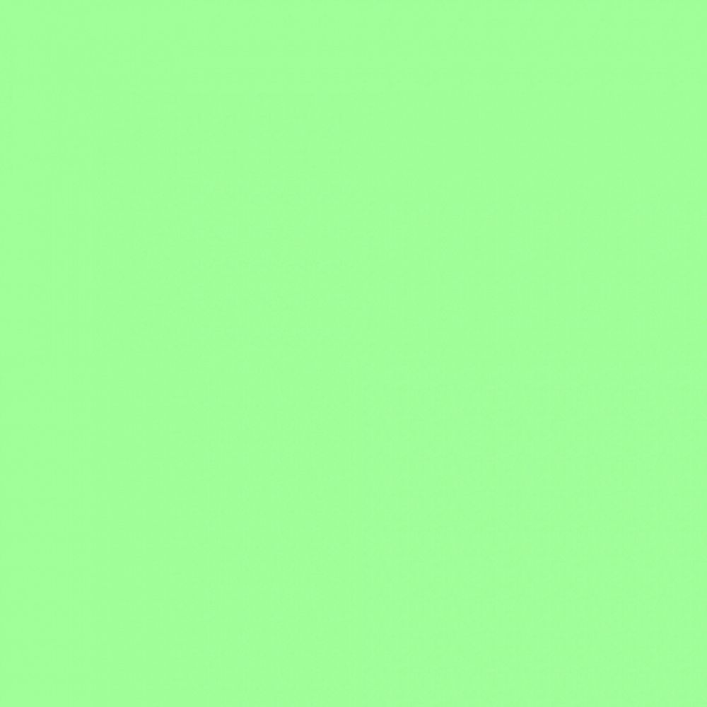 Фон нетканый Fotokvant NVF-8878 1,6х5,0 Light Green (Салатовый)