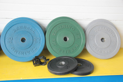 Бамперный диск 5 кг Ø450