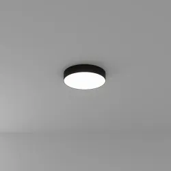 Потолочный светильник Arte Lamp FADO