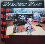 Status Quo / The Vinyl Singles Collection 1990-1999 (Limited Edition)(16x7" Vinyl Single)