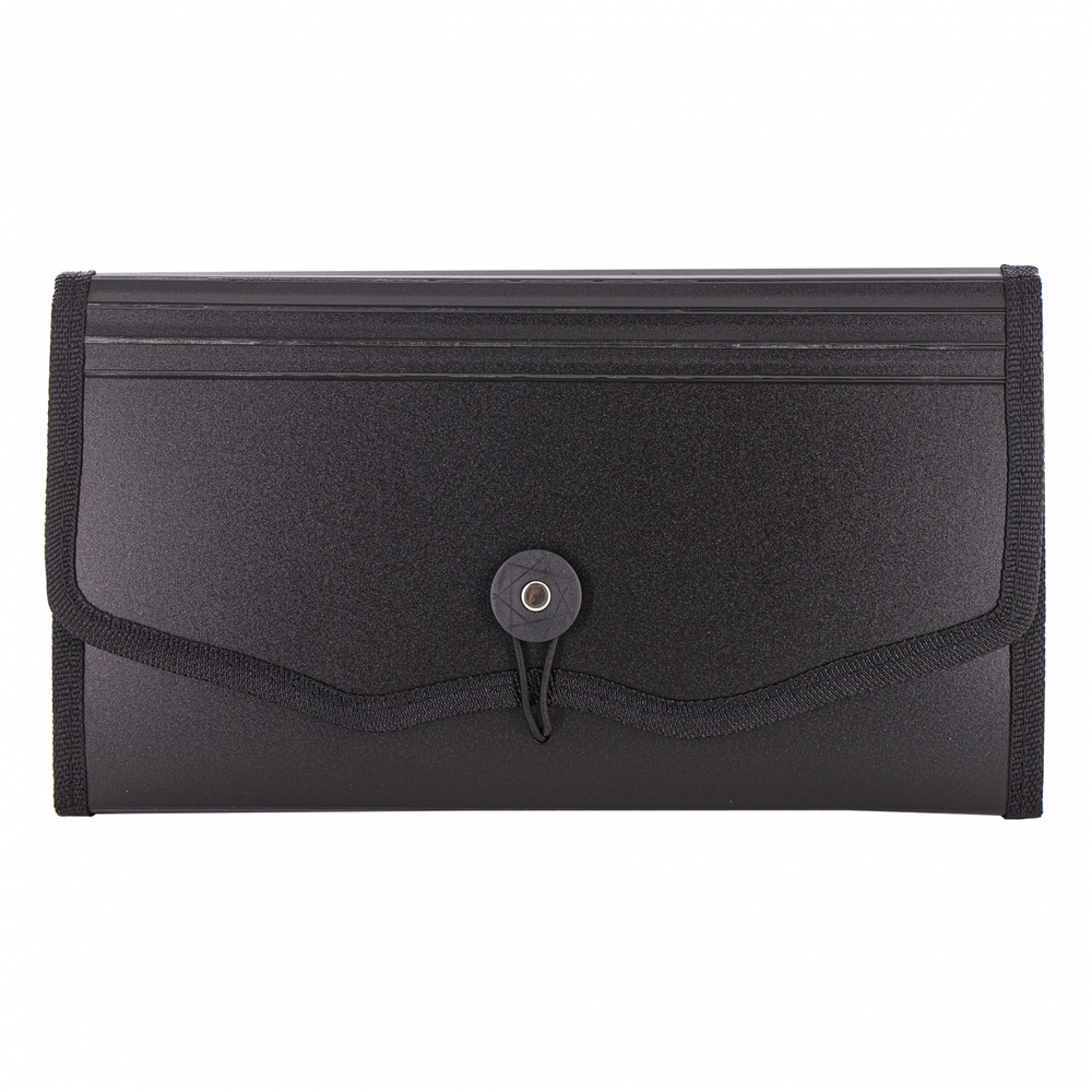 Папка-картотека Alingar, 260х140 мм, на пуговице, пластик, 900 мкм,12 отделений, черный