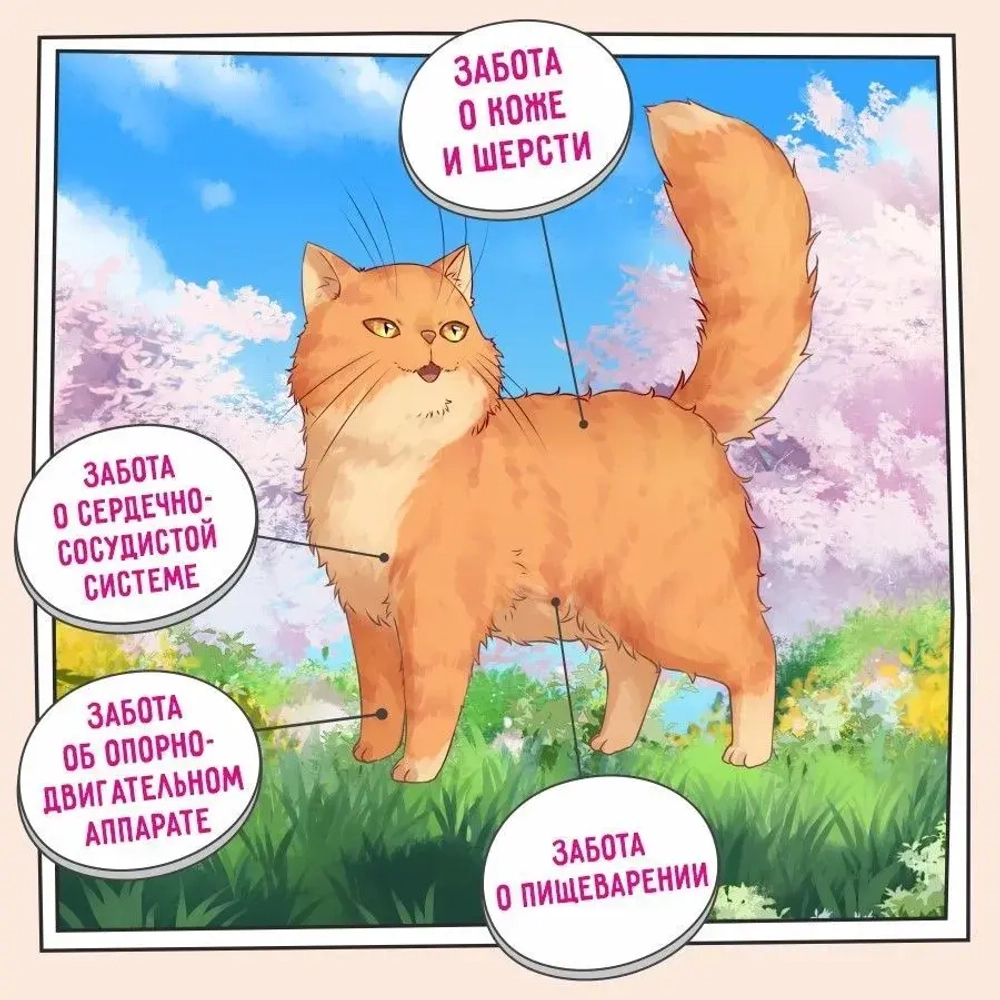 Сухой корм для кощек ZILLII (Зилли) Cat Adult Indoor 10кг индейка и ягненок для домашних кошек