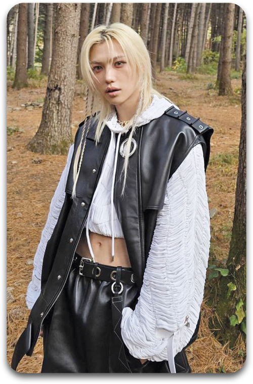 Карта / STRAY KIDS #2162