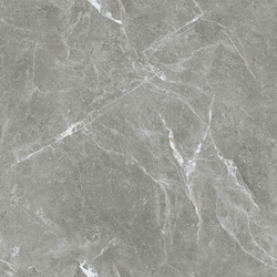 Stone Cool Grey Керамогранит серый 60х60 Полированный
