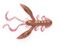 Твистеры съедобные LJ Pro Series ROCK CRAW 2.0in (5,1 см), цв. S14, 10 шт.