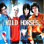 The Rolling Stones / Wild Horses (CD Single)