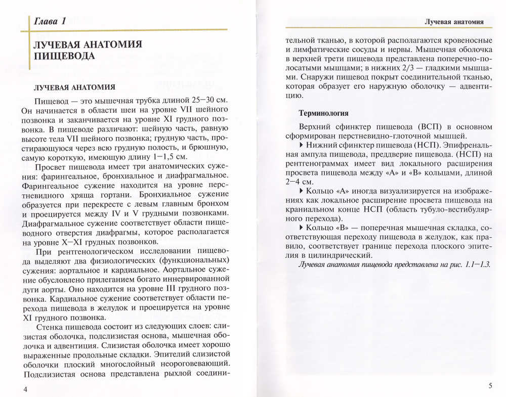 Лучевая диагностика заболеваний пищевода
