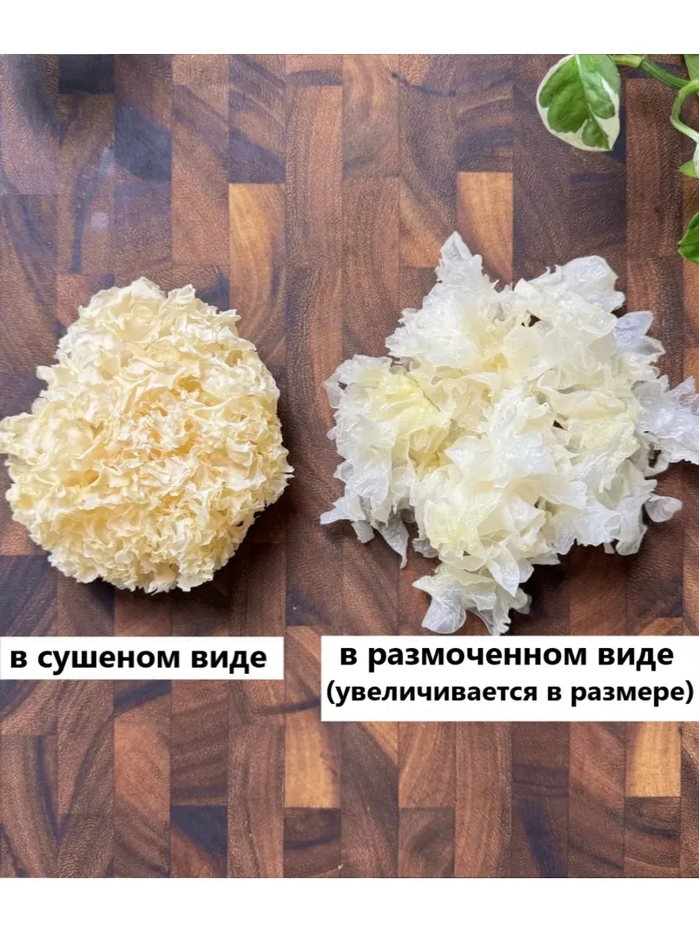 Древесный гриб коралловый Тремелла 300 г