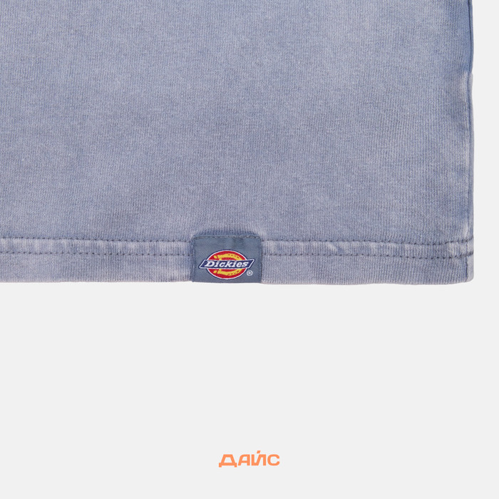 Футболка мужская Dickies Plentywood артикул:DK0A866BG701 - купить в магазине Дайс