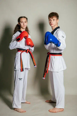 Перчатки боксерские ProfSport