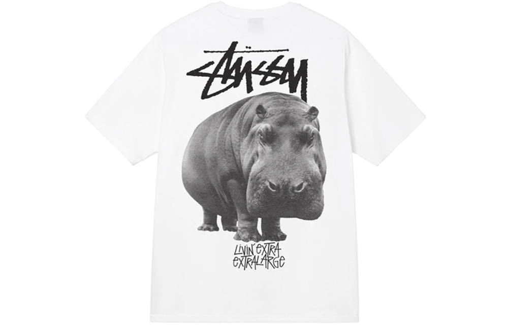 Футболки Stussy Livin Large Tee T, 1904865