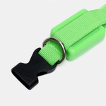 Ошейник светящийся узкий для небольших собак, 3 режима, 26см, Зеленый