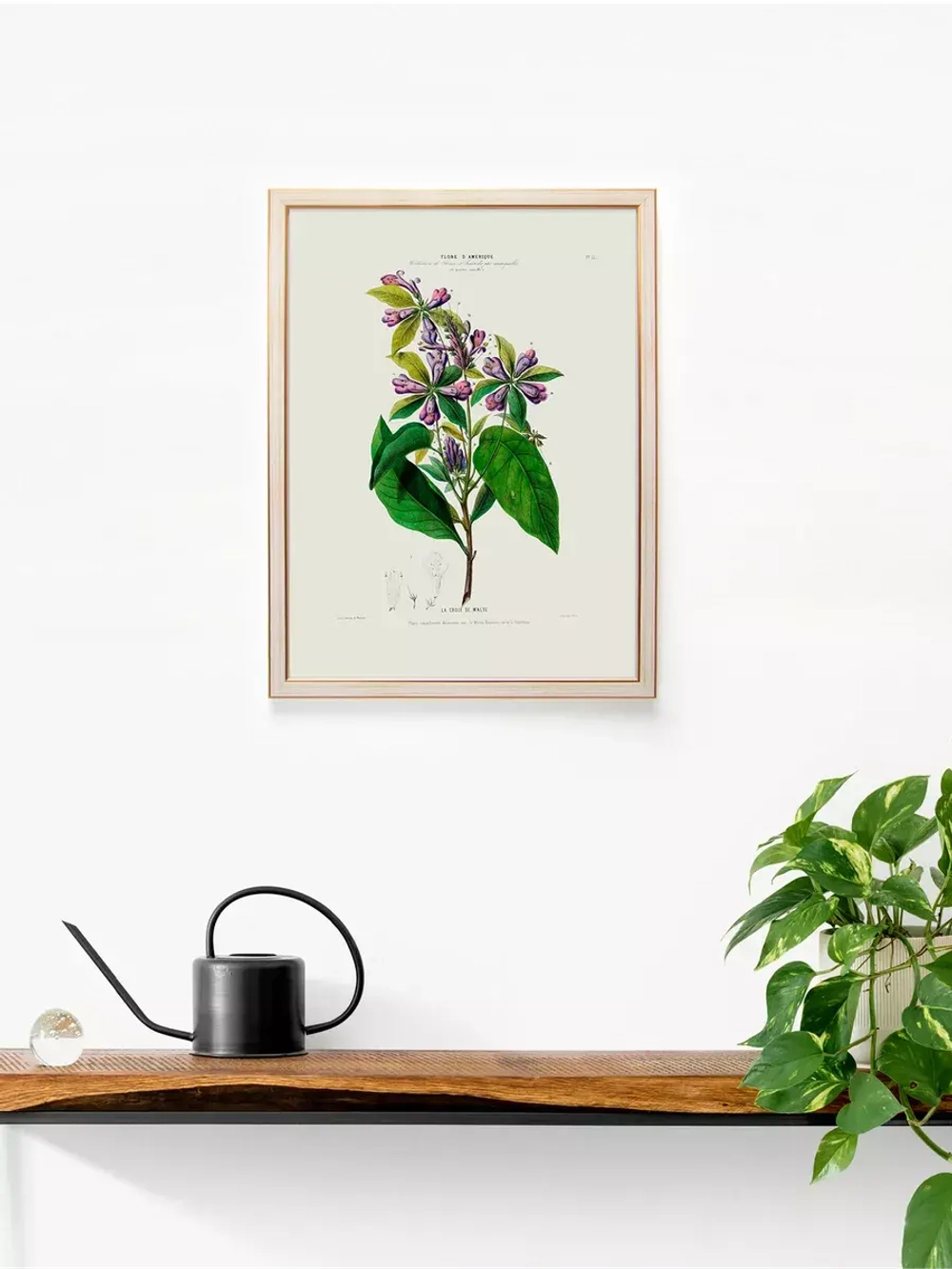 Постер настенный в багетной раме "Ботаника" 42*32 см