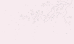 Коллекция Line art