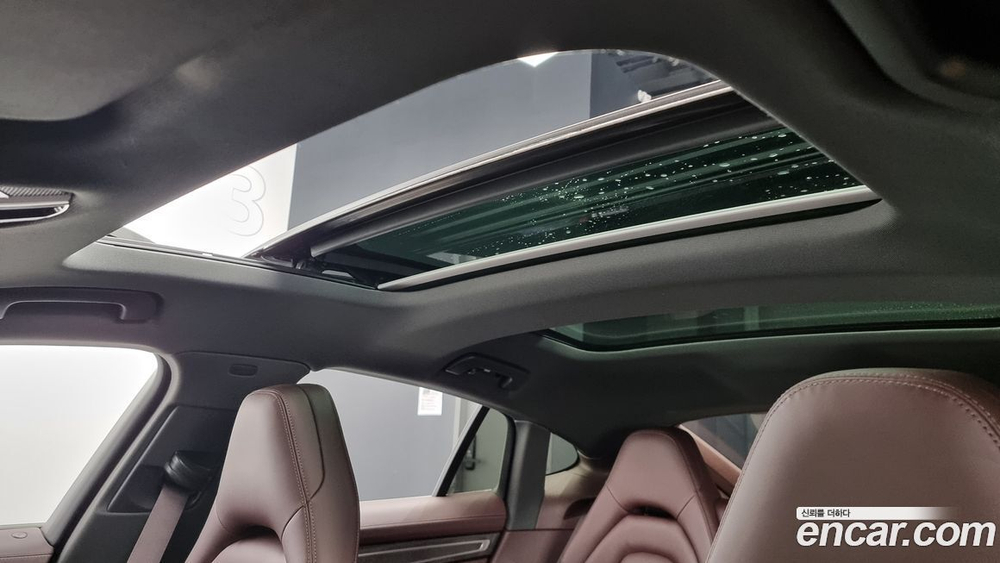 Porsche Panamera (971) 2.9 AWD E-Hybrid (09.2021)
