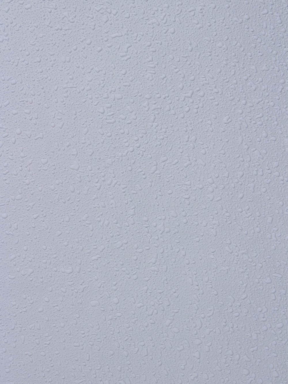 Rasch 1.06 m*25 177423 Wallton