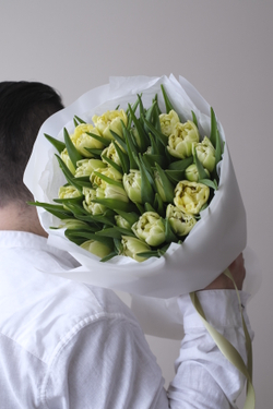 Моно из 25 пионовидных тюльпанов Авангард