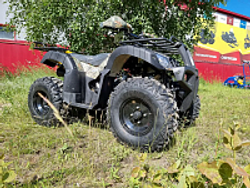 Квадроцикл PROMAX ATV 250 (2025)