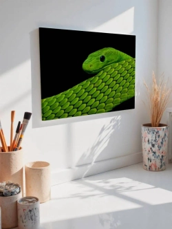 Картина на стену 40 X 50 Зеленая змея