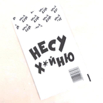 Крафт-конверт «Несу фигню», 16х11 см