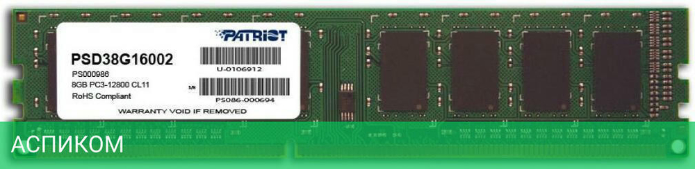 Оперативная память Patriot DDR3-1600 8GB PC-12800 (PSD38G16002)