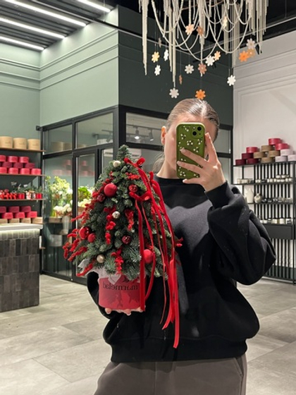 Елка из нобилиса