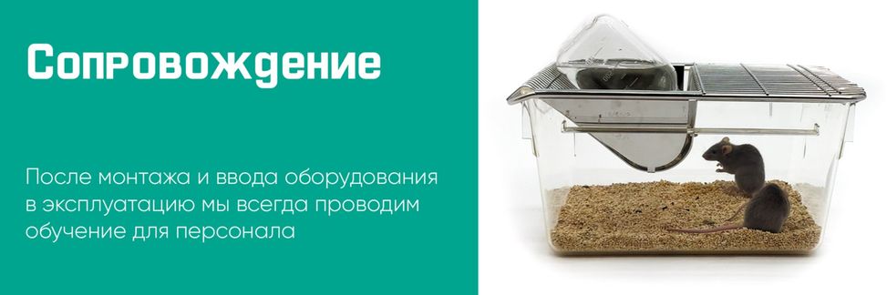 Заголовок для слайда 2