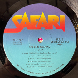 Винтажная виниловая пластинка LP Toyah The Blue Meaning (Japan 1980) (Obi)