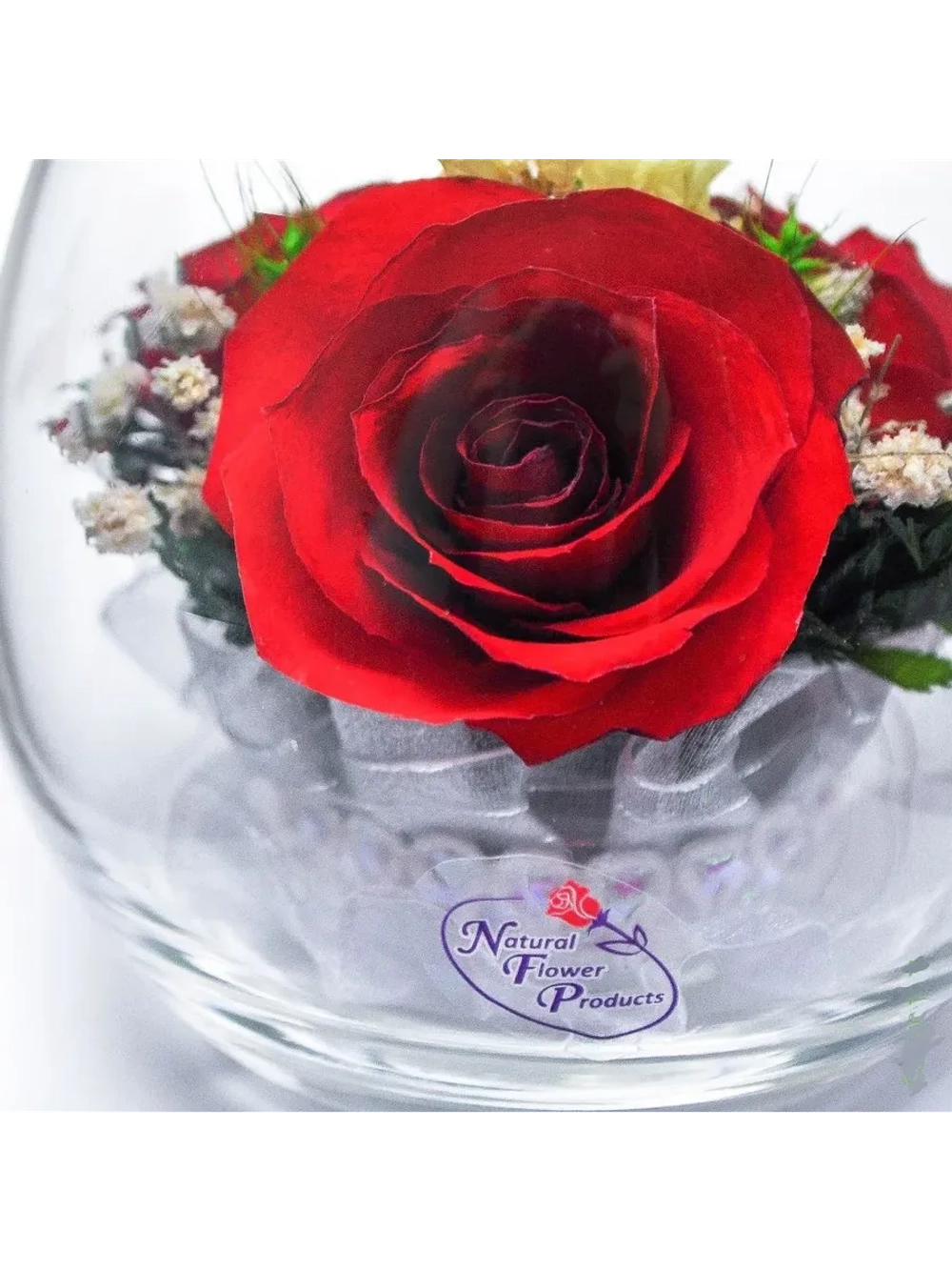 натуральные цветы в стекле, вакуум